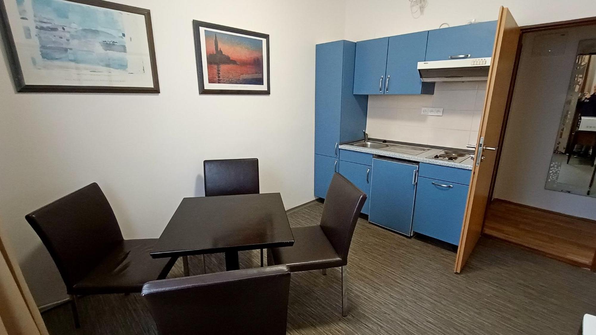 Apartments Gato Karlovy Vary Dalovice Zewnętrze zdjęcie